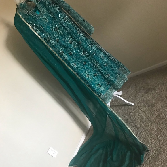 ⬇️EXPENSIVE NET, indian,pakistani women dress - Picture 3 of 8